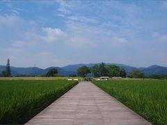 -良渚古城遗址公园