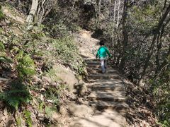 -杭州半山国家森林公园