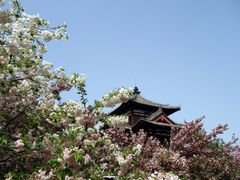 -西安青龙寺遗址景区