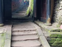 -青城山