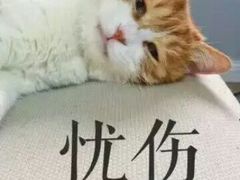 -东北农家院·铁锅炖(莘庄店)
