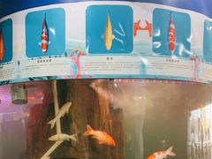 -泉州海丝野生动物世界