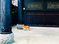 -古大圣慈寺