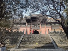 -善化寺