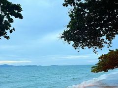 -卷心菜和避孕套餐厅(Pattaya)