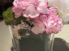 -碧特博格·20年品牌西餐厅(芜湖路店)