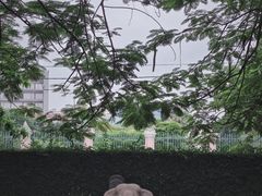 -柬埔寨国家博物馆