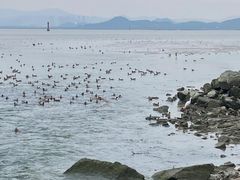 -深圳湾公园(南山区)