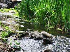 -白水寺森林公园