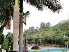 -巅峰减重高端减肥训练营(惠州店)