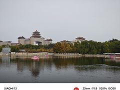 -莲花池公园
