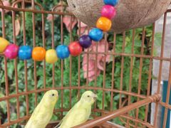 -颐而康·按摩·艾灸·足疗(汽车东站店)