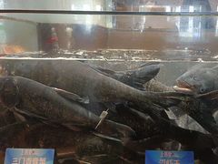 -上名堂·鱼头好吃(体育场路店)