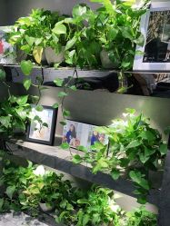 -汪正影业(萧山万象汇店)