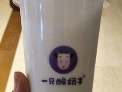 -一只酸奶牛(时代天街A馆店)