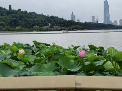 -岗子村(地铁站)