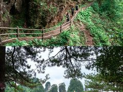 -光雾山旅游景区