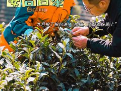 -正源安吉白茶特产享购商场(安吉店)