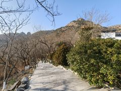 -石老人观光园