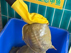 -大圣甲(汉口店)