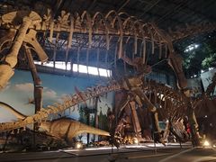 -西峡恐龙遗迹园