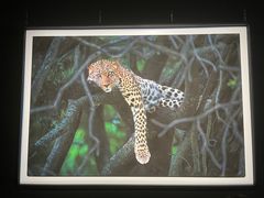 -罗红摄影艺术馆