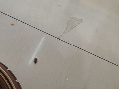 -北大学一食堂