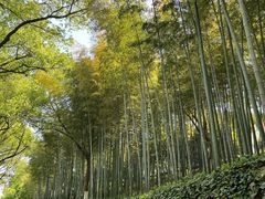 -上海市保健医疗中心