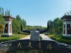 -武清南湖绿博园