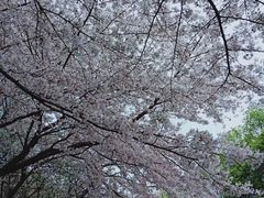 -北京广电国际酒店