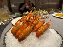 -桂满陇·海市蜃楼·黑金(国金店)