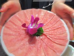-禄婶鸡煲·打边炉