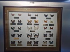 -上海昆虫博物馆