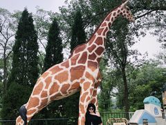 -南戴河国际娱乐中心