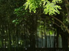 -宣武艺园