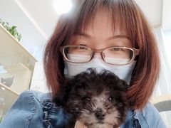 -喵宠乐园·撸猫互动·猫舍