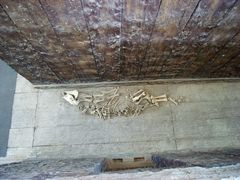 -北京大葆台遗址博物馆