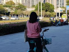 -竹子林(地铁站)