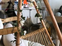 -Husky Go! 哈士奇体验馆·宠物咖啡厅狗咖