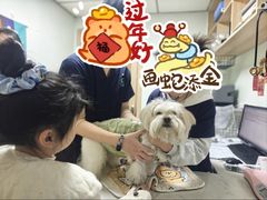 -格蕾宠物医院24H·猫科·肿瘤科·骨科中心(福州总院)