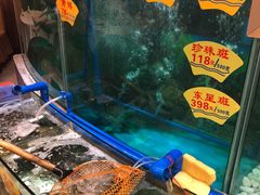 水产区-朱仔记食府(江南大道店)