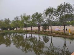 -东郊湿地公园