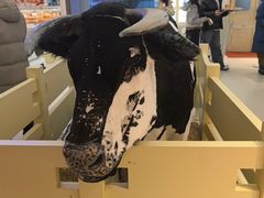 -红星前进面包牛奶公司(君太店)