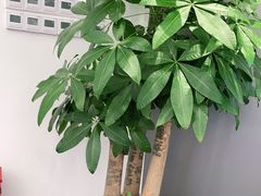 -华为授权体验店(龙湖礼嘉天街)