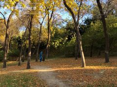 -元大都城垣遗址公园