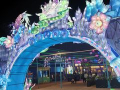 -海合安武汉极地海洋公园