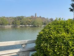 -惠州泗洲塔