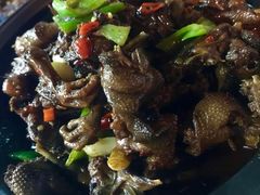 -龙小海荆沙鸽子店(瑞安街店)
