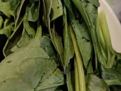 -海拉尔碳烤羊腿烤鸽子(吕营店)