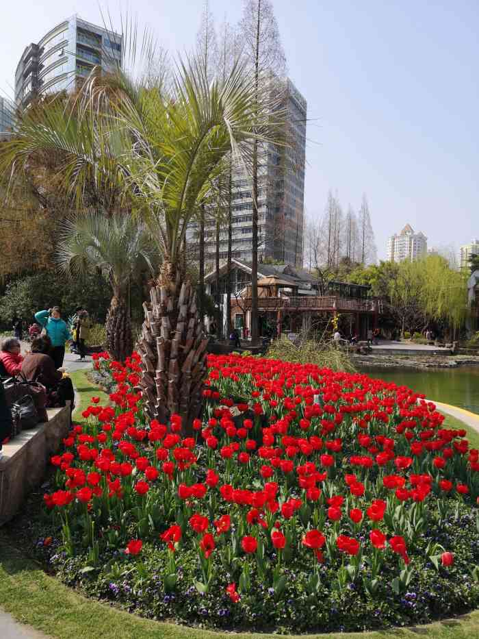 南园滨江绿地-"每年四月到了郁金香花期都会和家人一起来南.